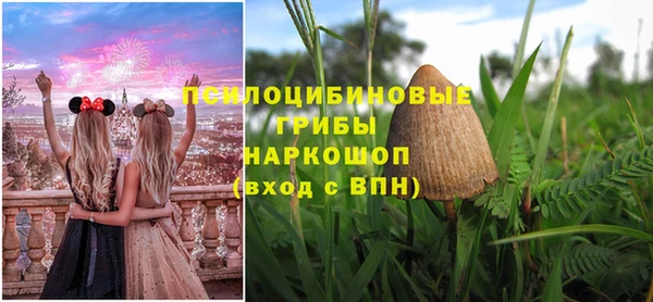 метадон Михайловск