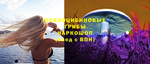 гашик Медвежьегорск