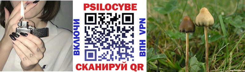ссылка на мегу ссылки  Лермонтов  Псилоцибиновые грибы Psilocybe  darknet клад  купить наркоту 